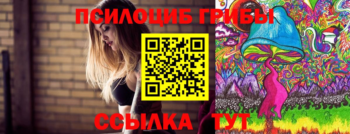 Татарск  Псилоцибиновые грибы Magic Shrooms  Псилоцибиновые грибы Psilocybe  Вход с VPN 